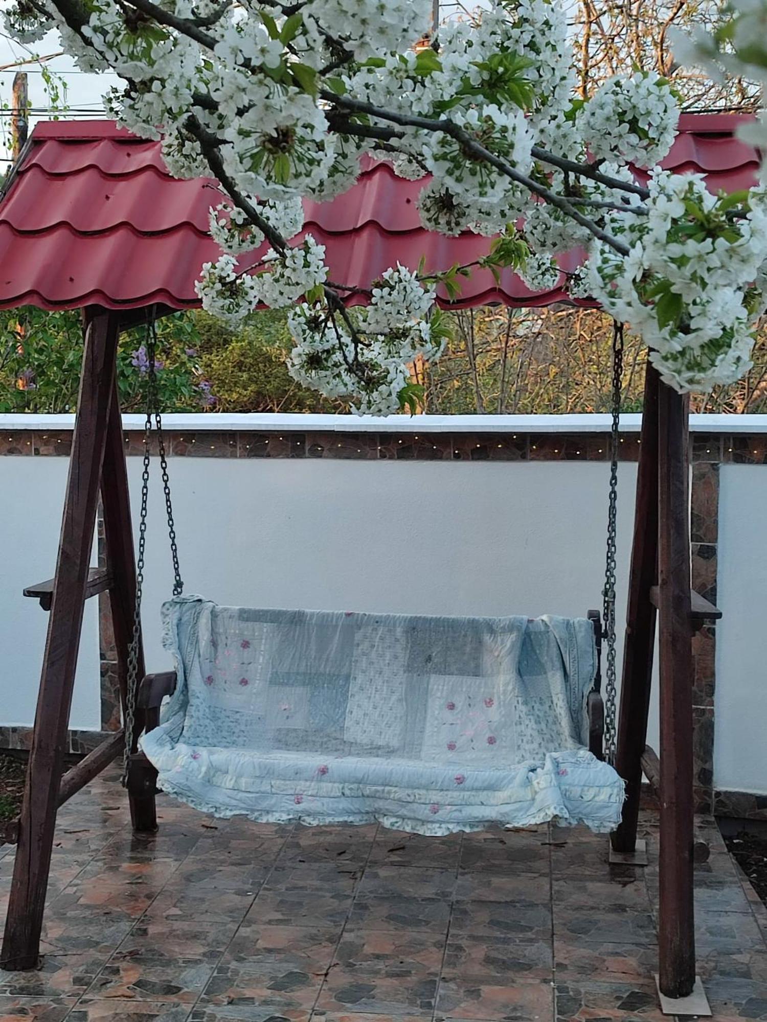 Courtyard Studio Oradea Bagian luar foto